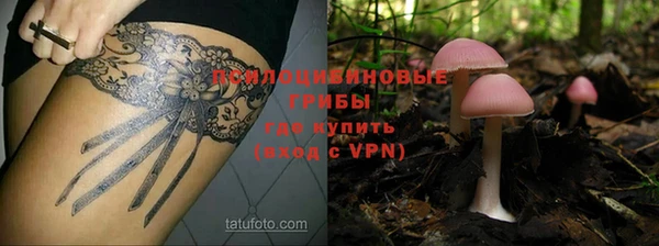 стафф Навашино