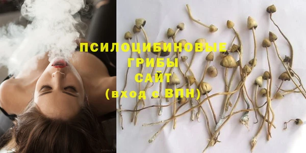 стафф Навашино