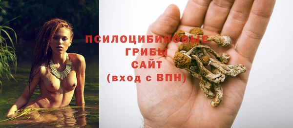 дмт Надым