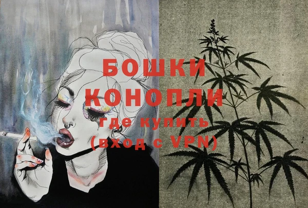 дмт Надым
