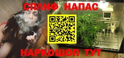spice Гусев