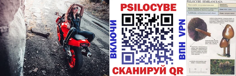Псилоцибиновые грибы Psilocybine cubensis  где купить наркоту  Пятигорск 