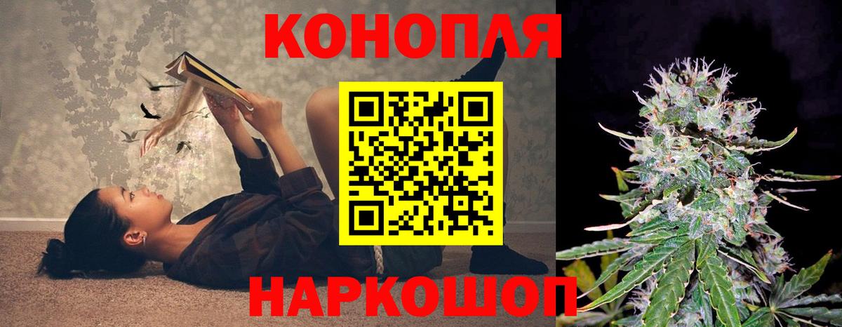 Бошки Шишки семена Пятигорск